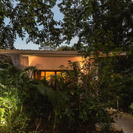 El Nido Jungle Lodge Puerto Viejo de Talamanca Zewnętrze zdjęcie