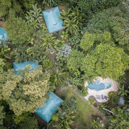 El Nido Jungle Lodge Puerto Viejo de Talamanca Zewnętrze zdjęcie