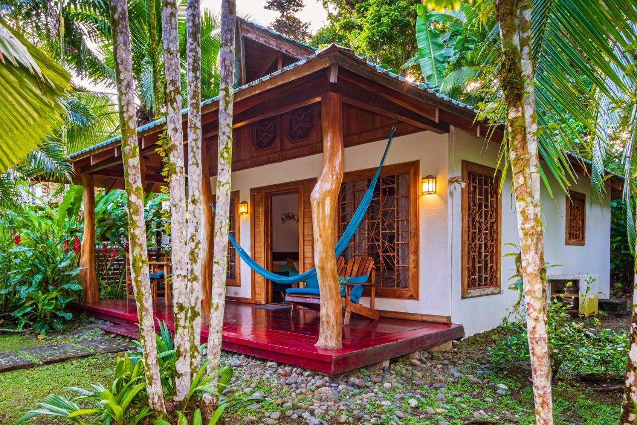 El Nido Jungle Lodge Puerto Viejo de Talamanca Zewnętrze zdjęcie