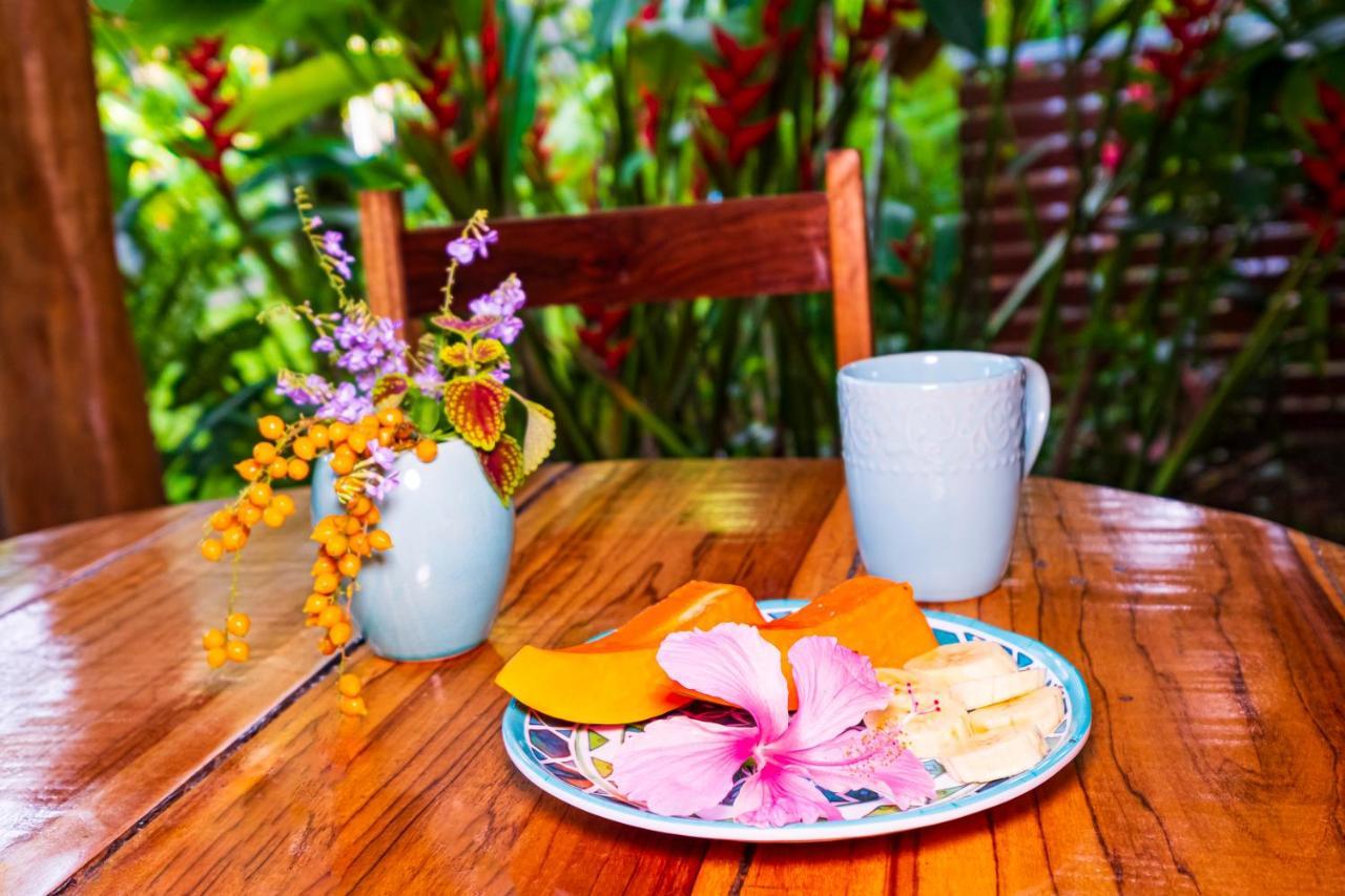 El Nido Jungle Lodge Puerto Viejo de Talamanca Zewnętrze zdjęcie