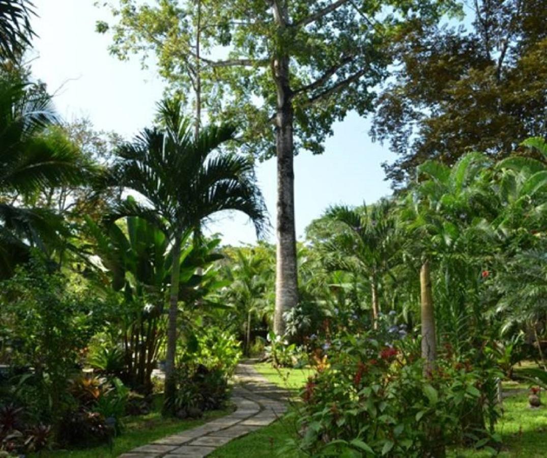 El Nido Jungle Lodge Puerto Viejo de Talamanca Zewnętrze zdjęcie