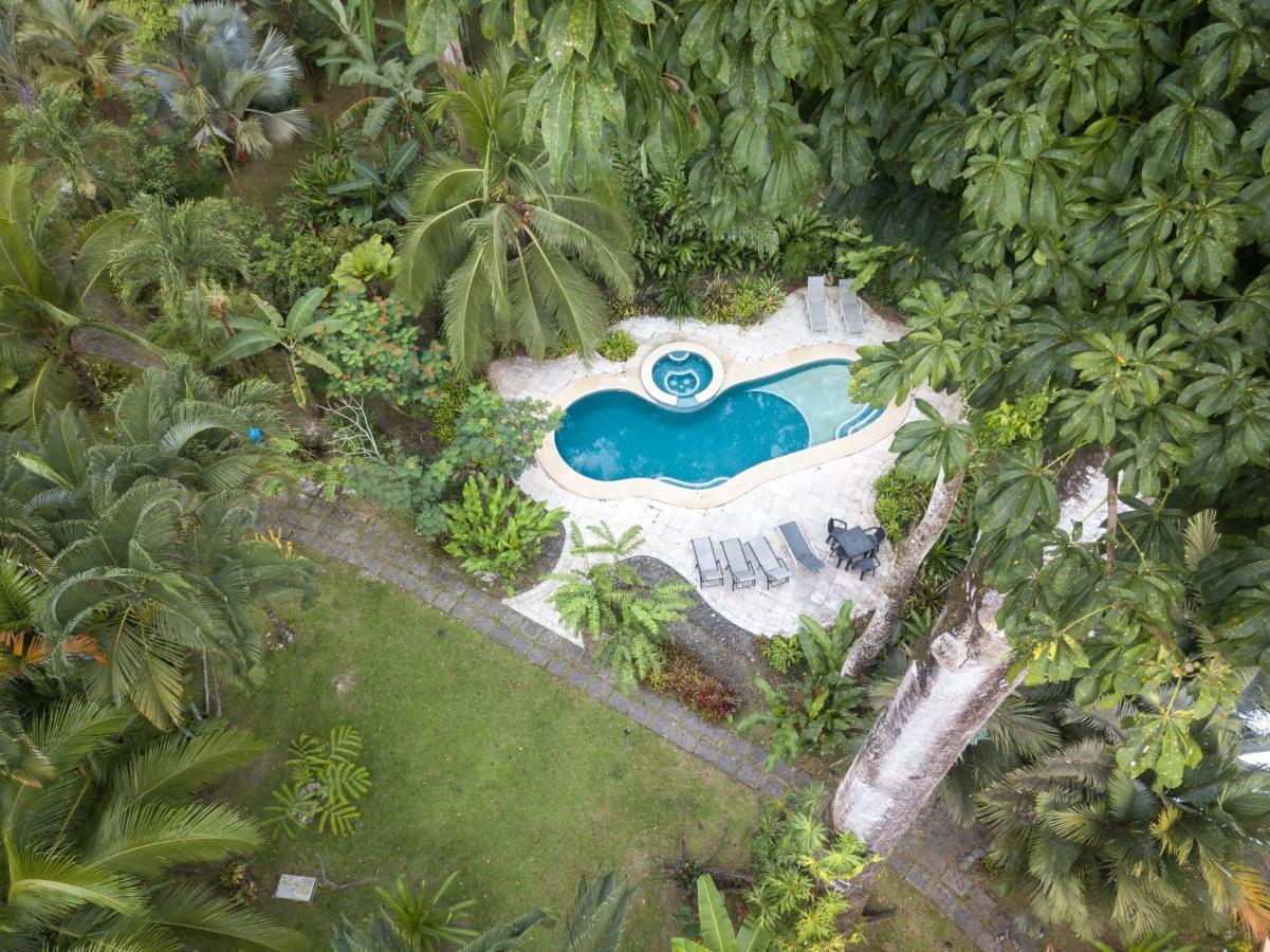 El Nido Jungle Lodge Puerto Viejo de Talamanca Zewnętrze zdjęcie