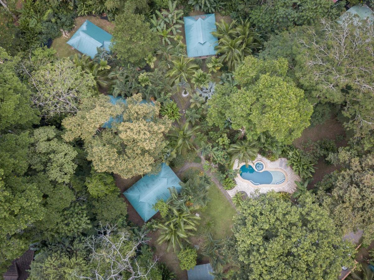 El Nido Jungle Lodge Puerto Viejo de Talamanca Zewnętrze zdjęcie