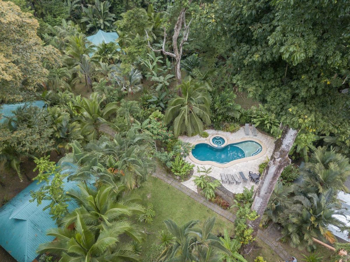 El Nido Jungle Lodge Puerto Viejo de Talamanca Zewnętrze zdjęcie