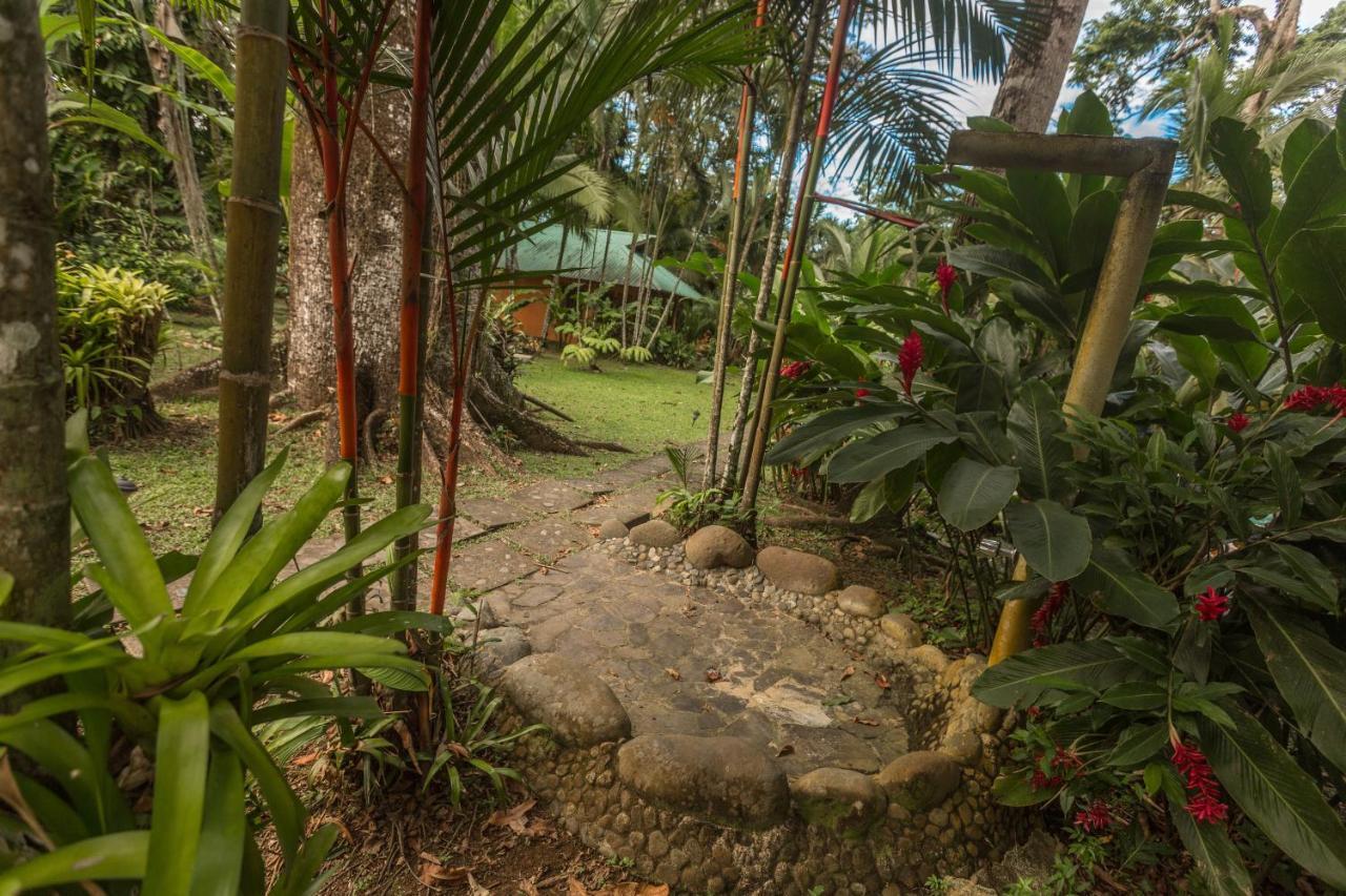El Nido Jungle Lodge Puerto Viejo de Talamanca Zewnętrze zdjęcie