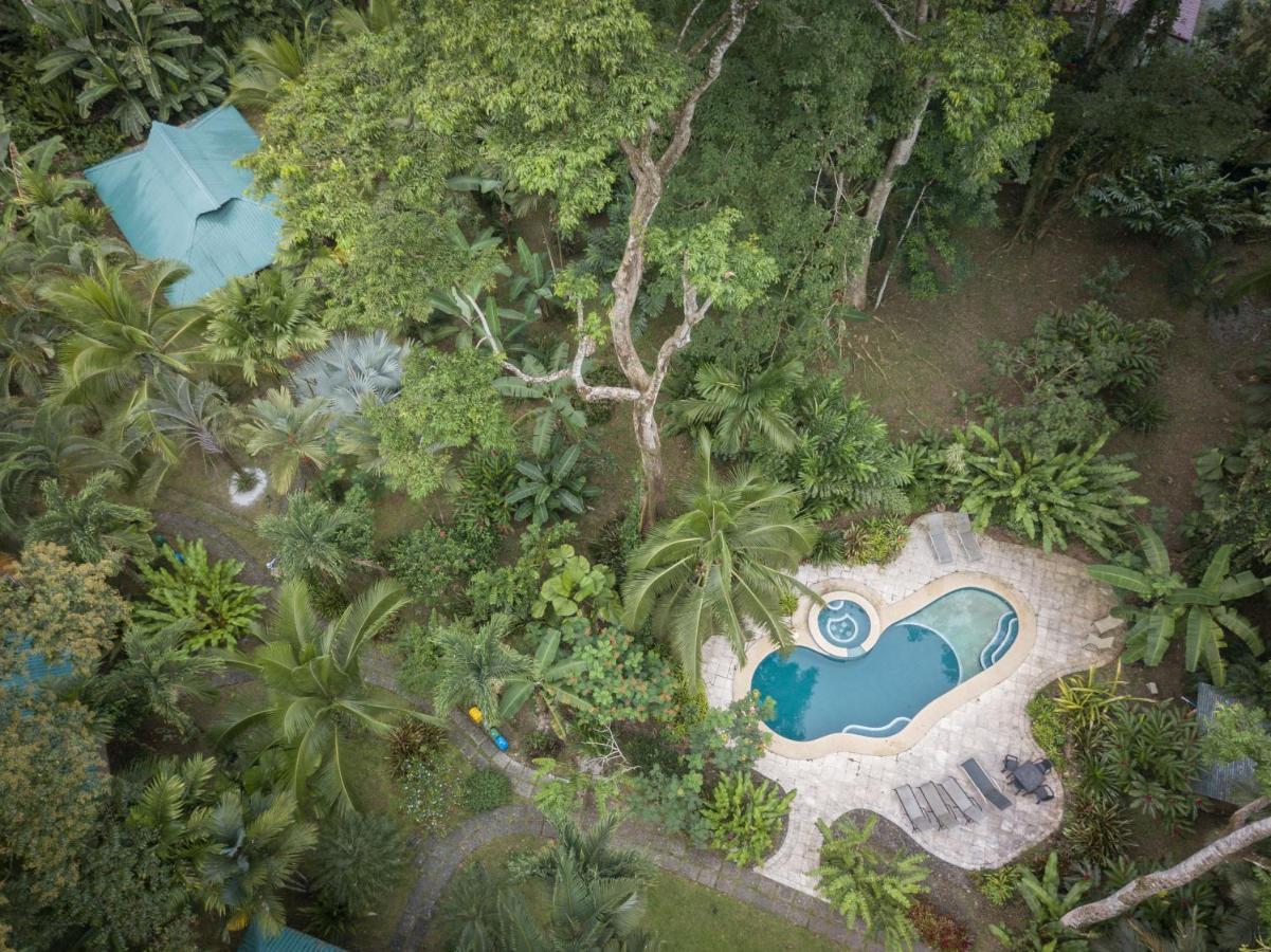 El Nido Jungle Lodge Puerto Viejo de Talamanca Zewnętrze zdjęcie